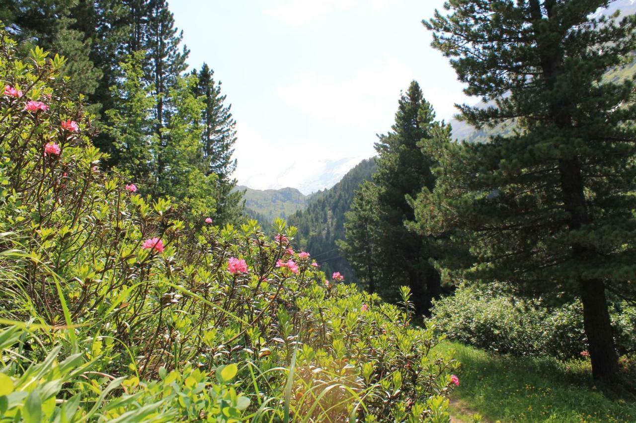 Alpenappartement Kleiner Tannheim Dış mekan fotoğraf