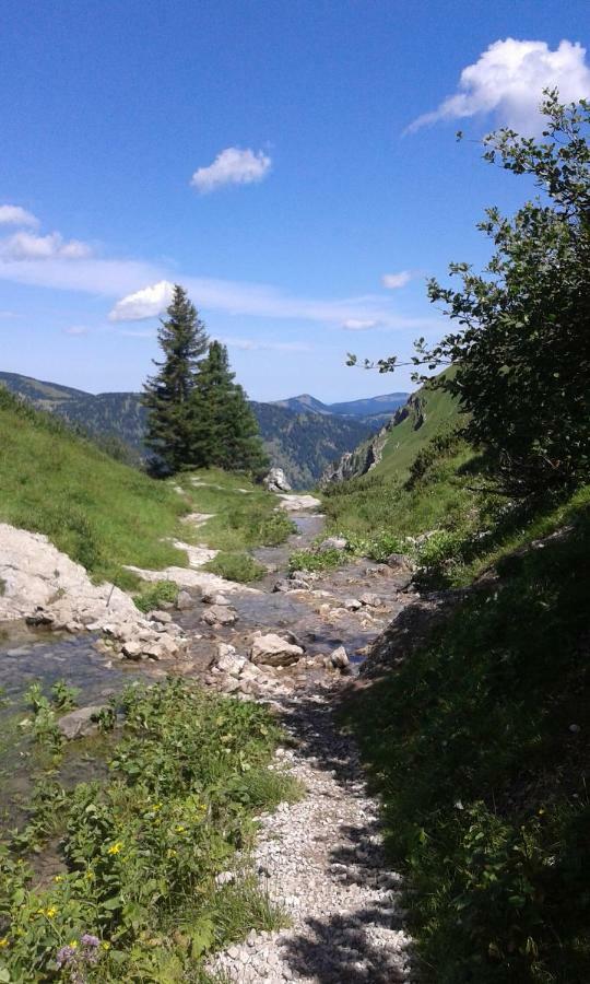 Alpenappartement Kleiner Tannheim Dış mekan fotoğraf
